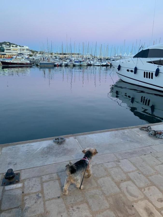 Cannes Old Port, Seafront & Seaview, Yacht Show Port Ngoại thất bức ảnh